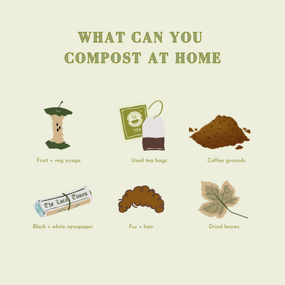 Composting / What can you compost at home