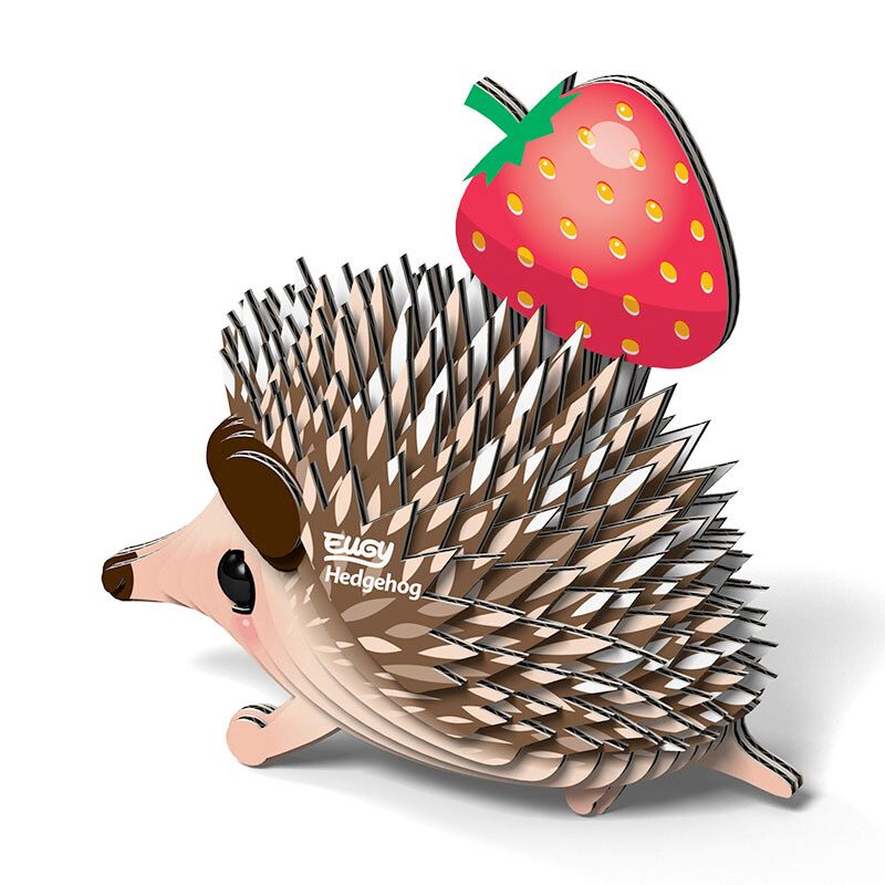 Hedgehog Card Kitset