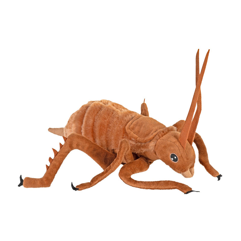Eco Weta