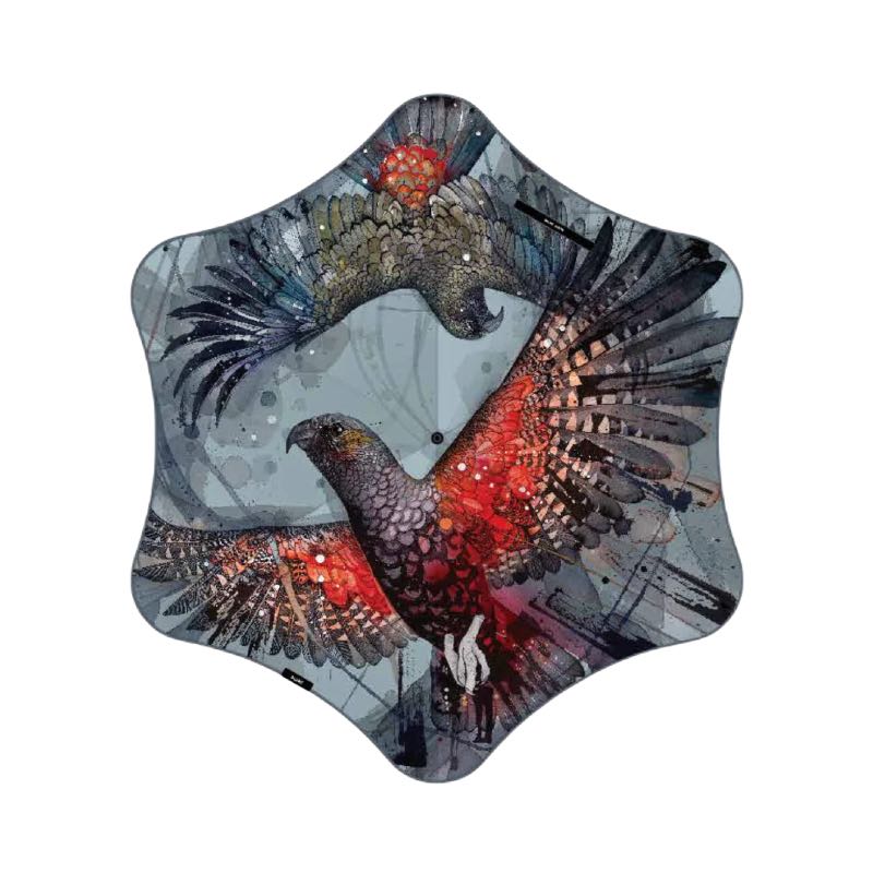 Metro Birds x Rachel Walker 2024