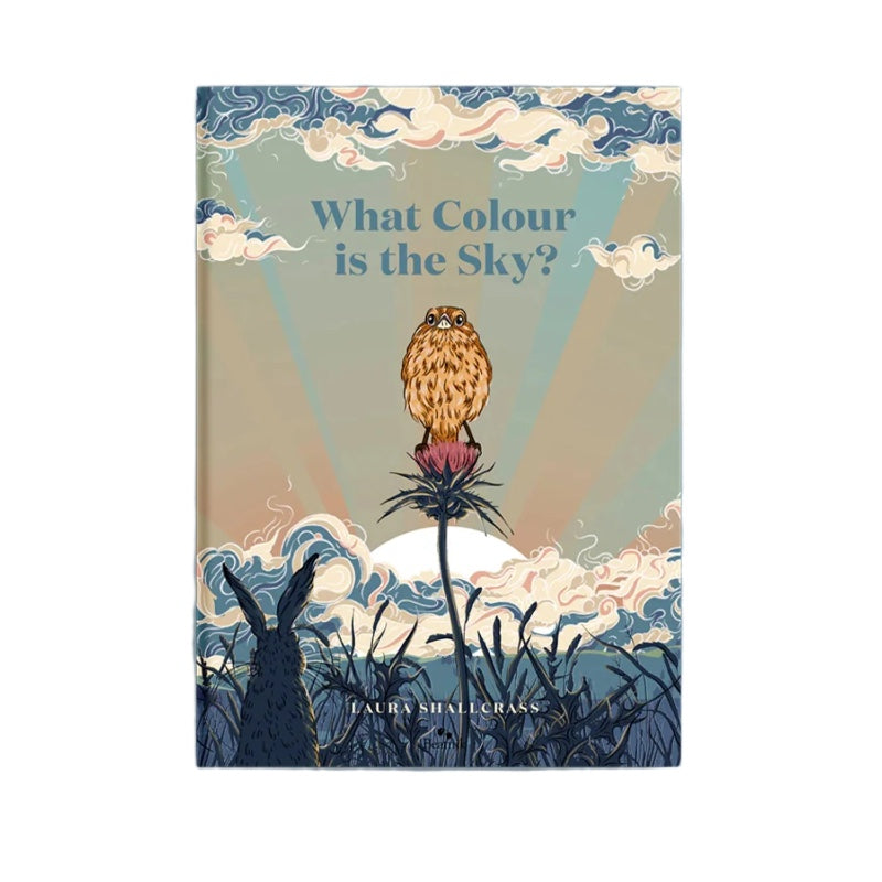 Book- What Colour Is The Sky?