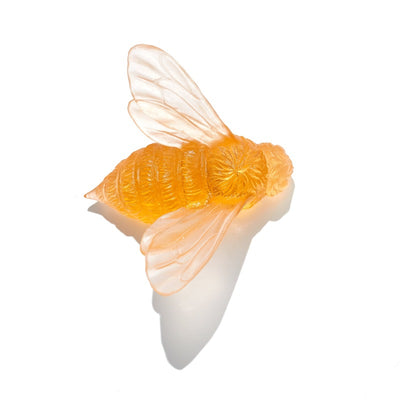 #Colour_Apricot