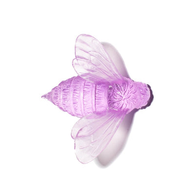 #Colour_Fuchsia