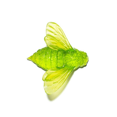 #Colour_Lime-Green