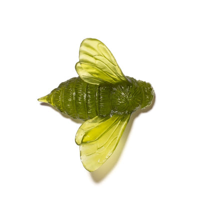 #Colour_Olive-Green