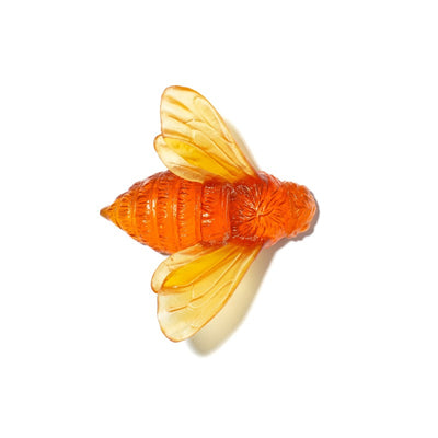 #Colour_Orange