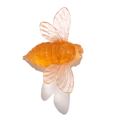 #Colour_Apricot