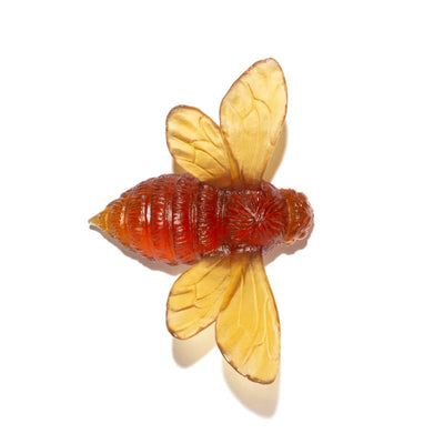 #Colour_Kelp
