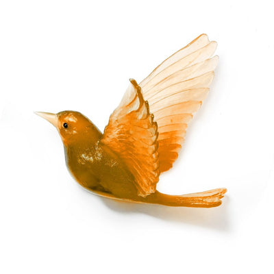 #Colour_Apricot