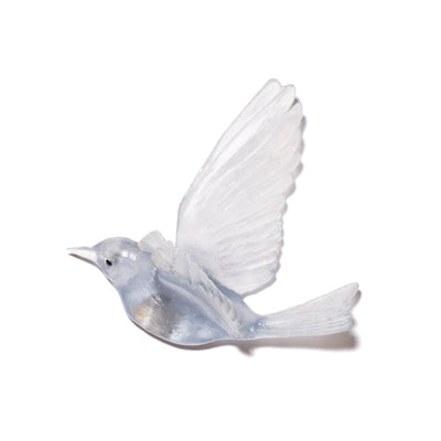 #Colour_Pale-Steel-Blue
