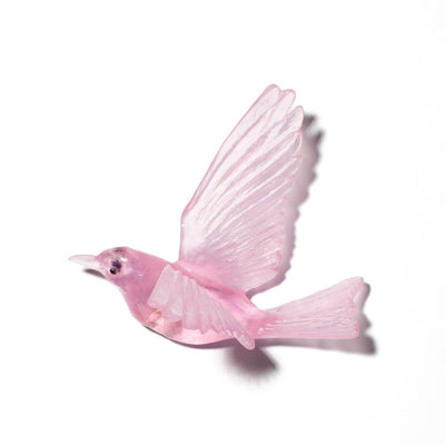 #Colour_Pink