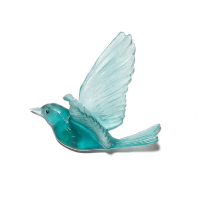 #Colour_Teal