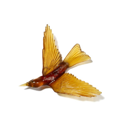 #Colour_Kelp