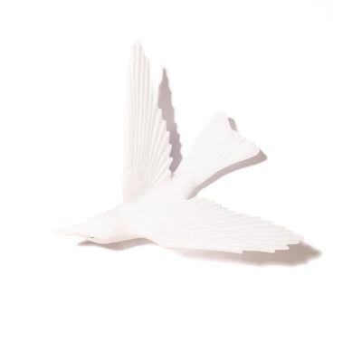 #Colour_Opaline