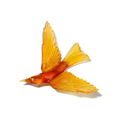 #Colour_Orange