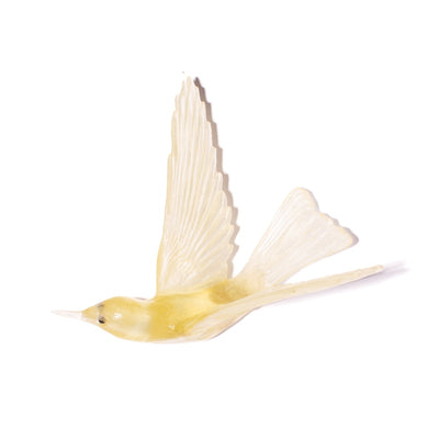 #Colour_Citrine