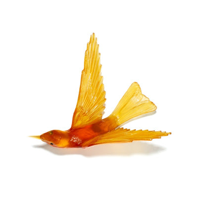 #Colour_Orange