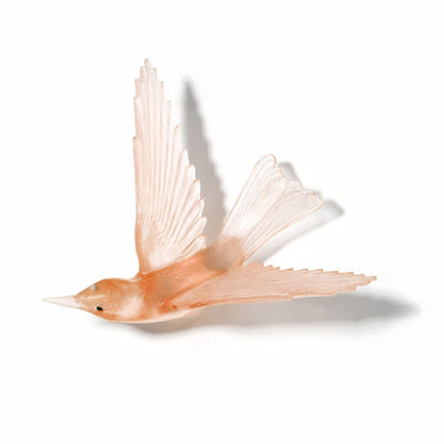 #Colour_Peach