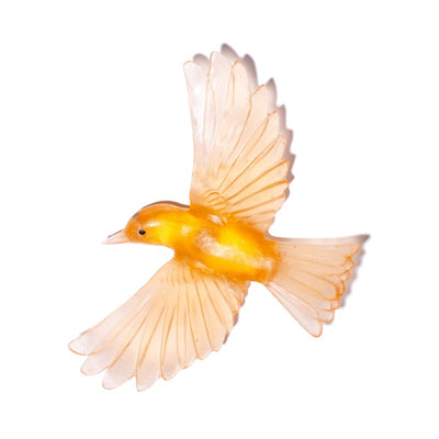 #Colour_Apricot