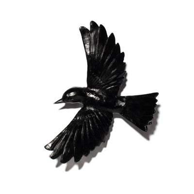 #Colour_Black