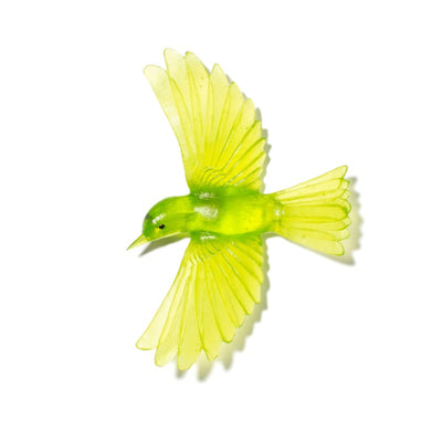 #Colour_Lime-Green