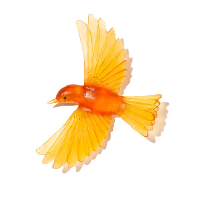 #Colour_Orange