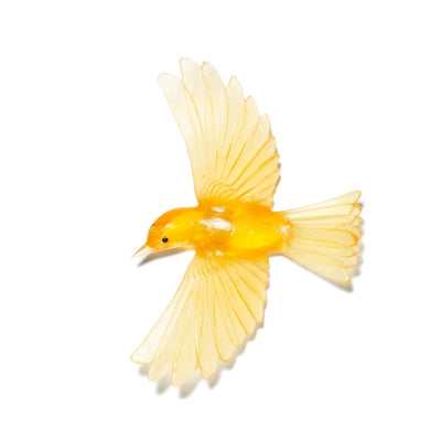#Colour_Yellow