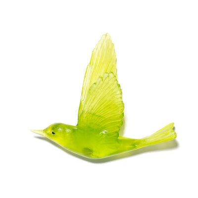 #Colour_Lime