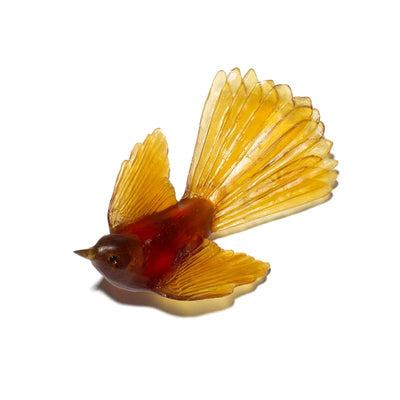 #Colour_Kelp