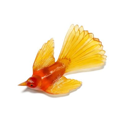 #Colour_Orange