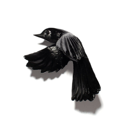 #Colour_Black