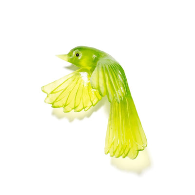 #Colour_Lime-Green