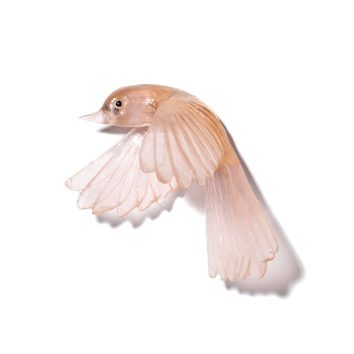 #Colour_Peach