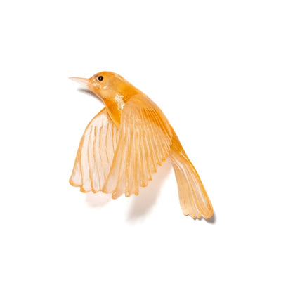 #Colour_Apricot