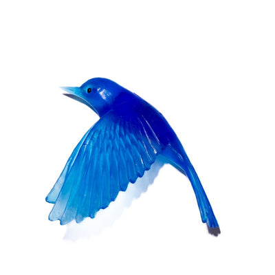 #Colour_Cobalt-Blue