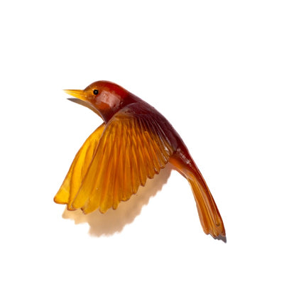 #Colour_Kelp