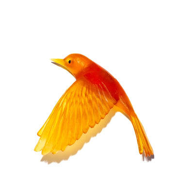 #Colour_Orange