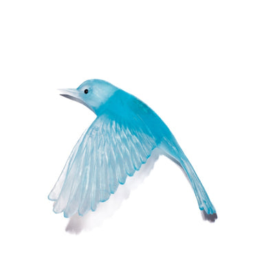 #Colour_Pale-Copper-Blue