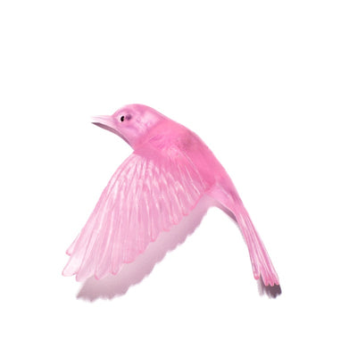 #Colour_Pink