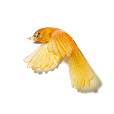 #Colour_Yellow
