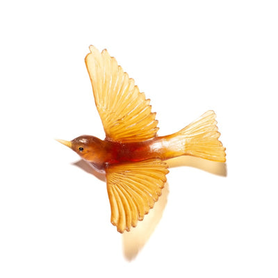 #Colour_Kelp