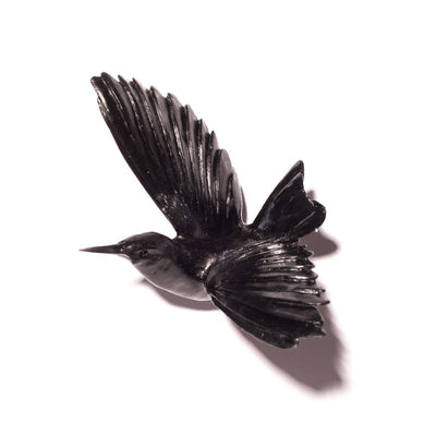 #Colour_Black