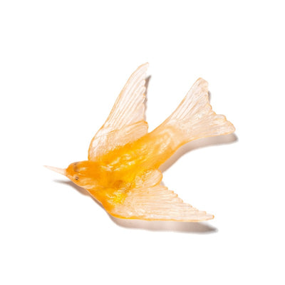 #Colour_Apricot