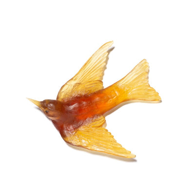 #Colour_Kelp