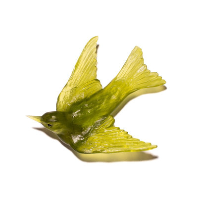 #Colour_Olive-Green