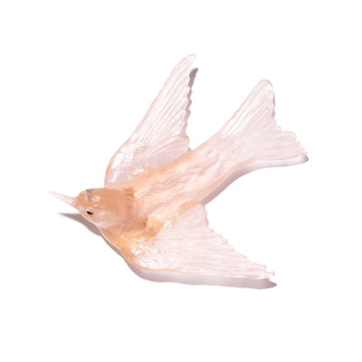 #Colour_Peach