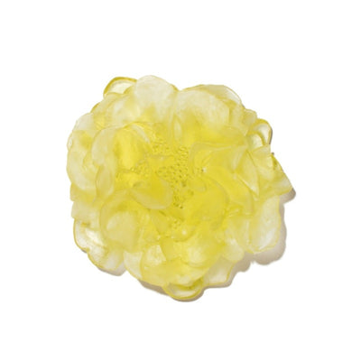 #Colour_Citrine