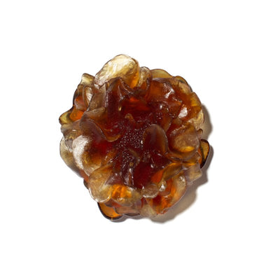#Colour_Kelp