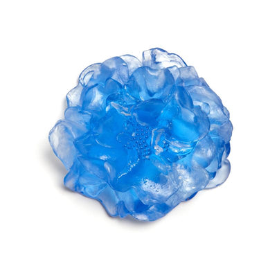 #Colour_Pale-Aquamarine