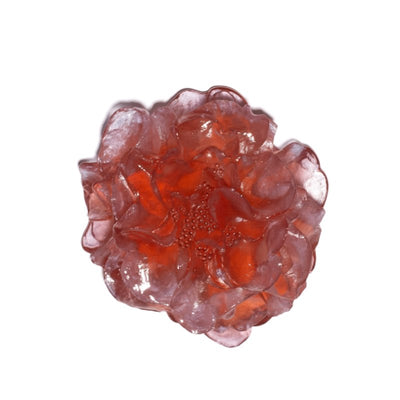 #Colour_Rose